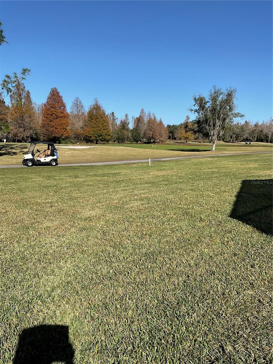 BACKYARD ON GOLF COURSE