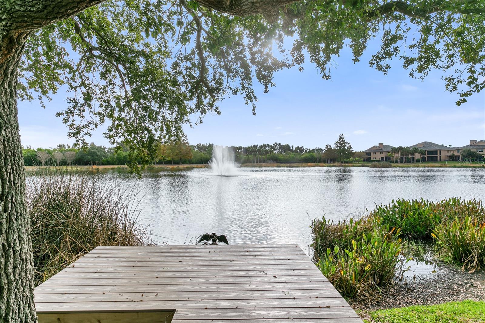 Community Walking Trail around lake