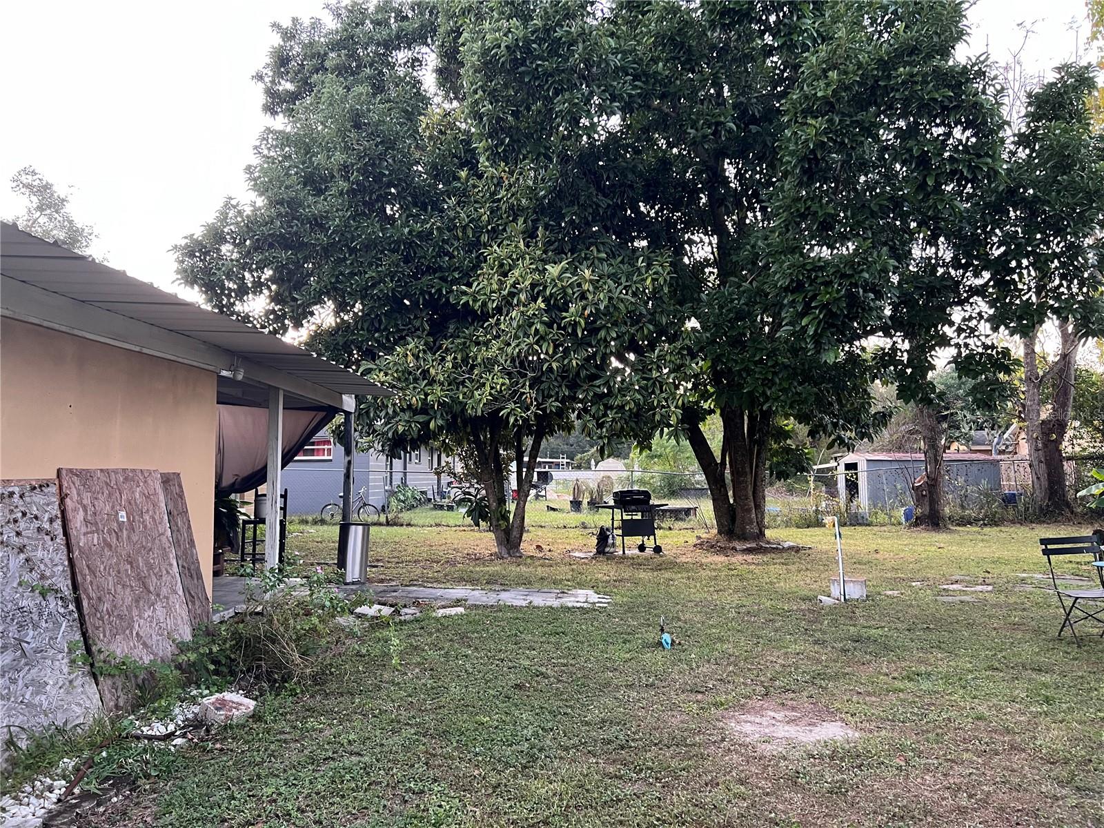 Large backyard with avocado tree.