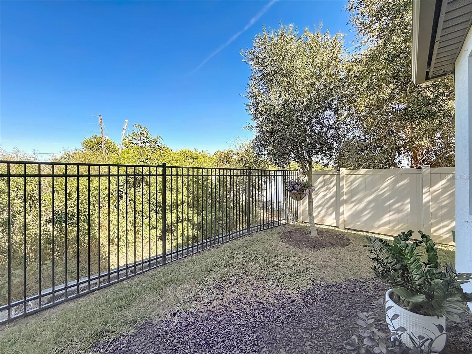 Rear Green Space - Conservation View