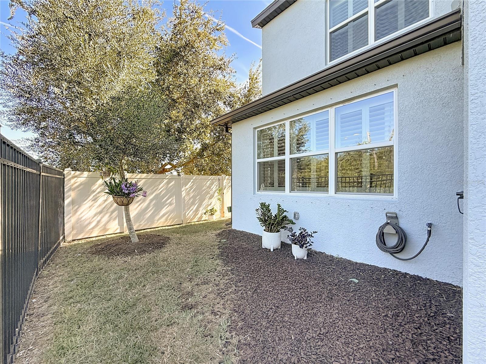 Rear Green Space - Conservation View