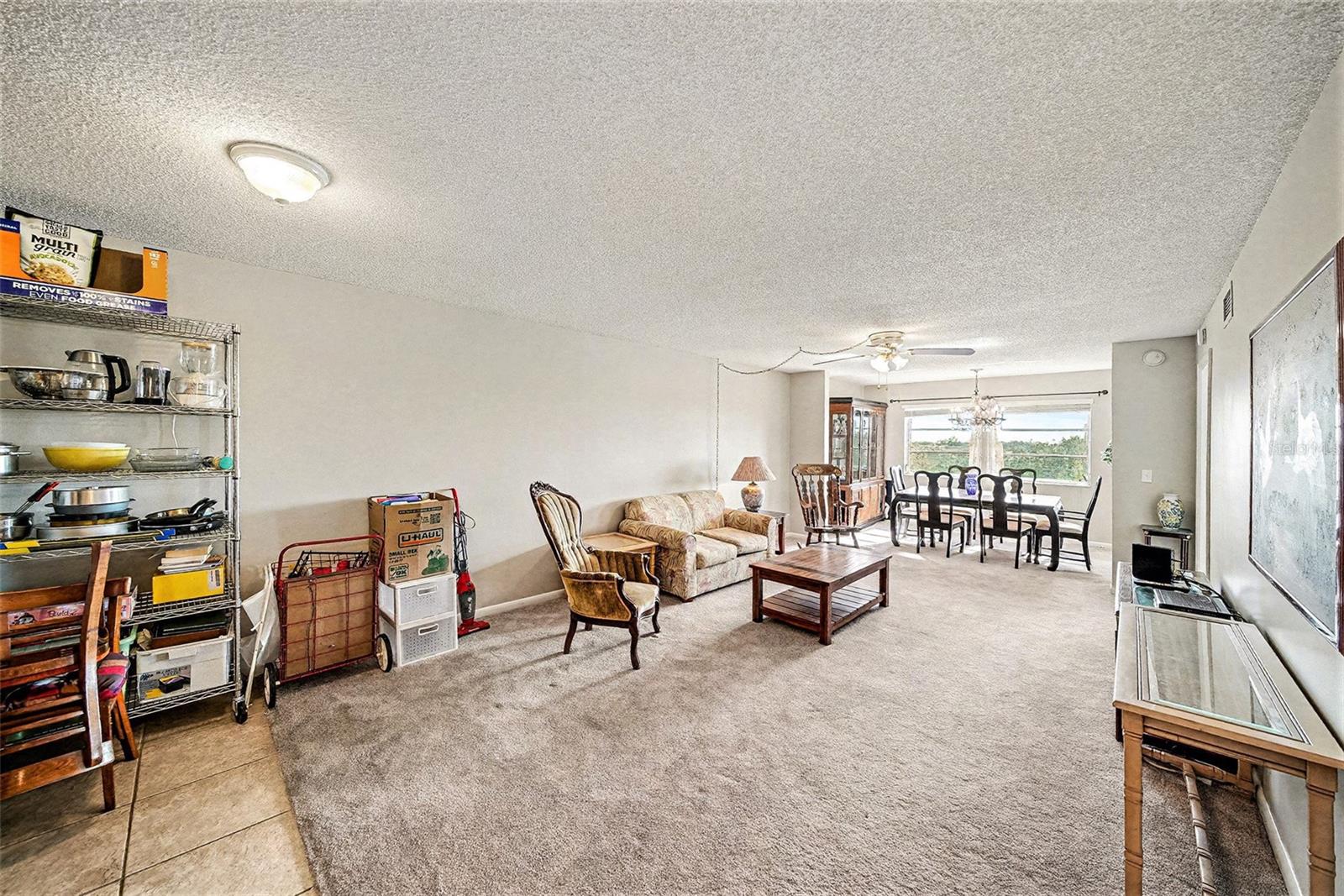 Living Area With Dining Room