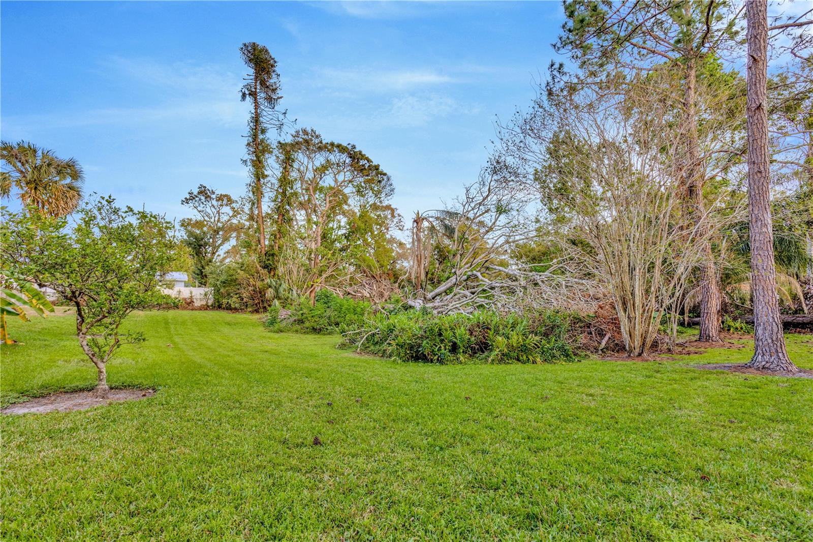 Conservation area with fruit trees provides a buffer from the street.