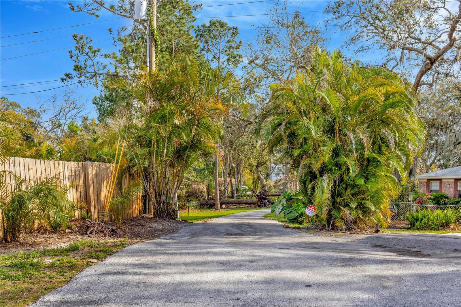 View from the street of the entrance to the property and driveway beyond.