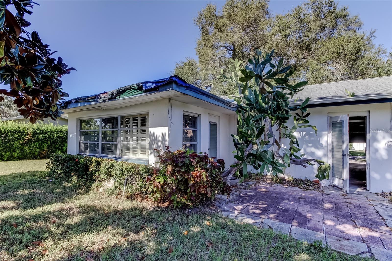 Huge Cacti Are Too Close to Slab.. Needs Addressed!