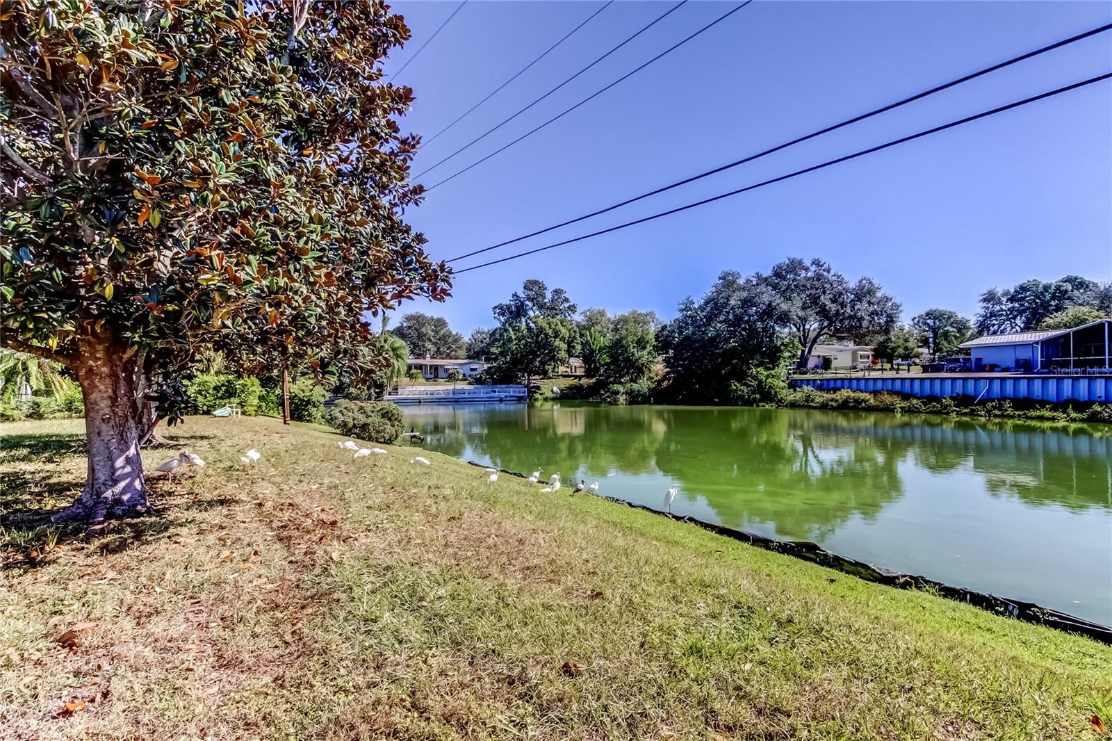 Check on 'Seawall' .. it Could Use Some Attention!