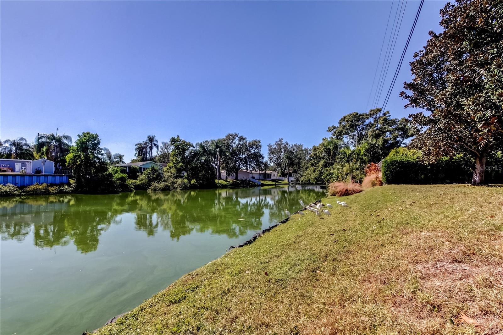 Spring Fed Lake Frontage.. it's Quite Nice!