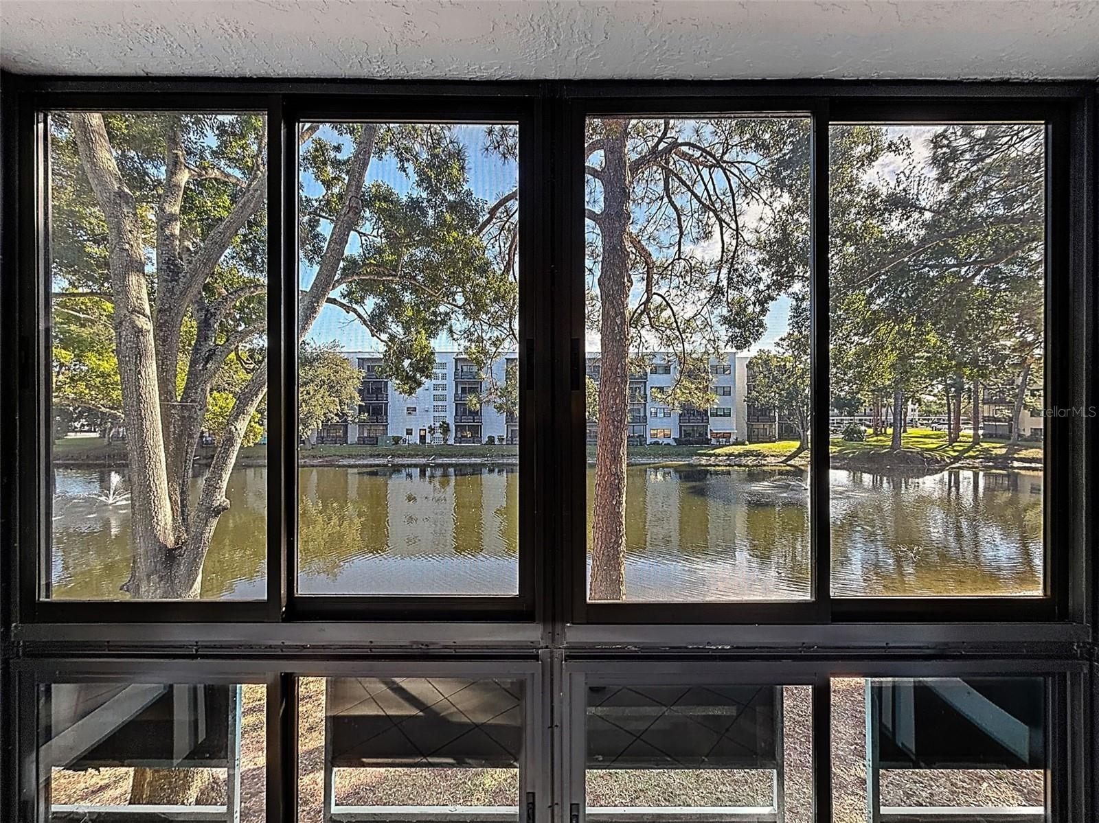 View of the pond from covered lanai