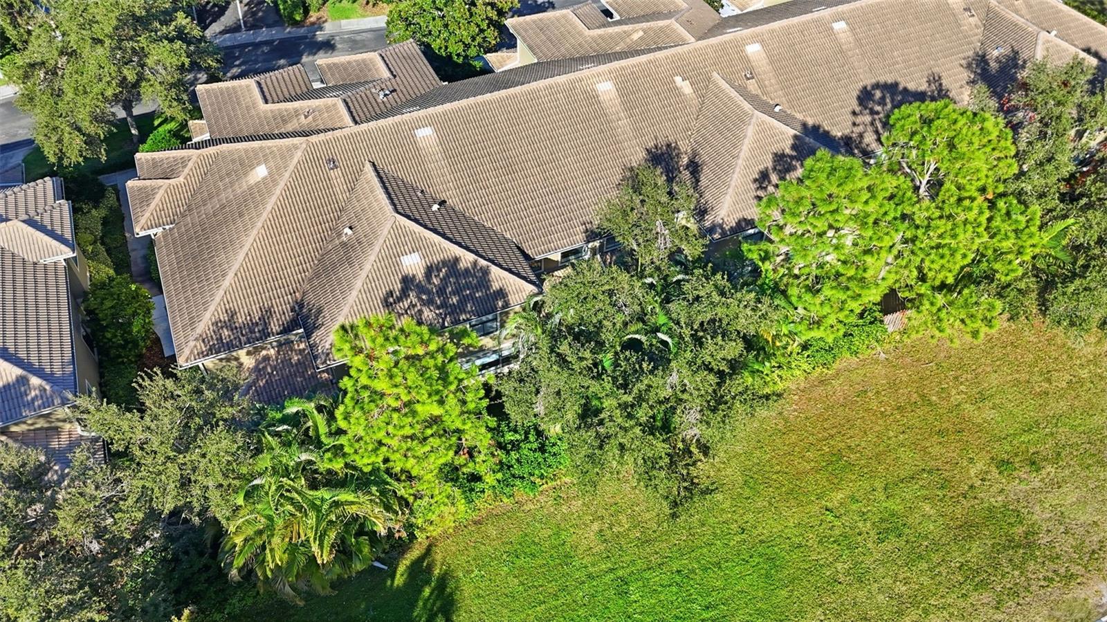 Many trees in the community