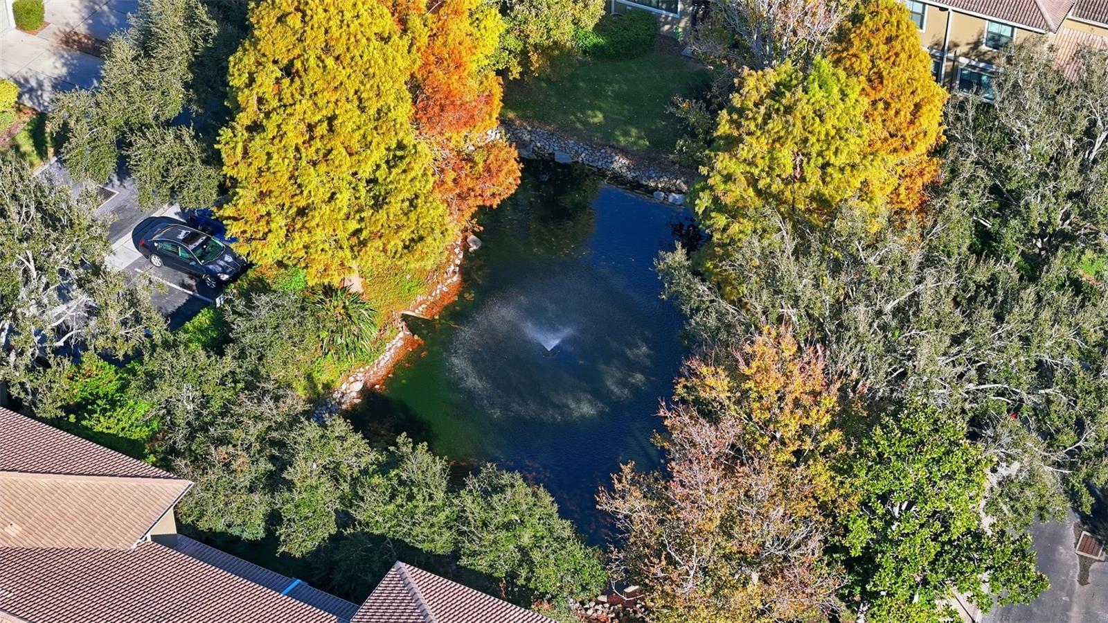 Pond in the community