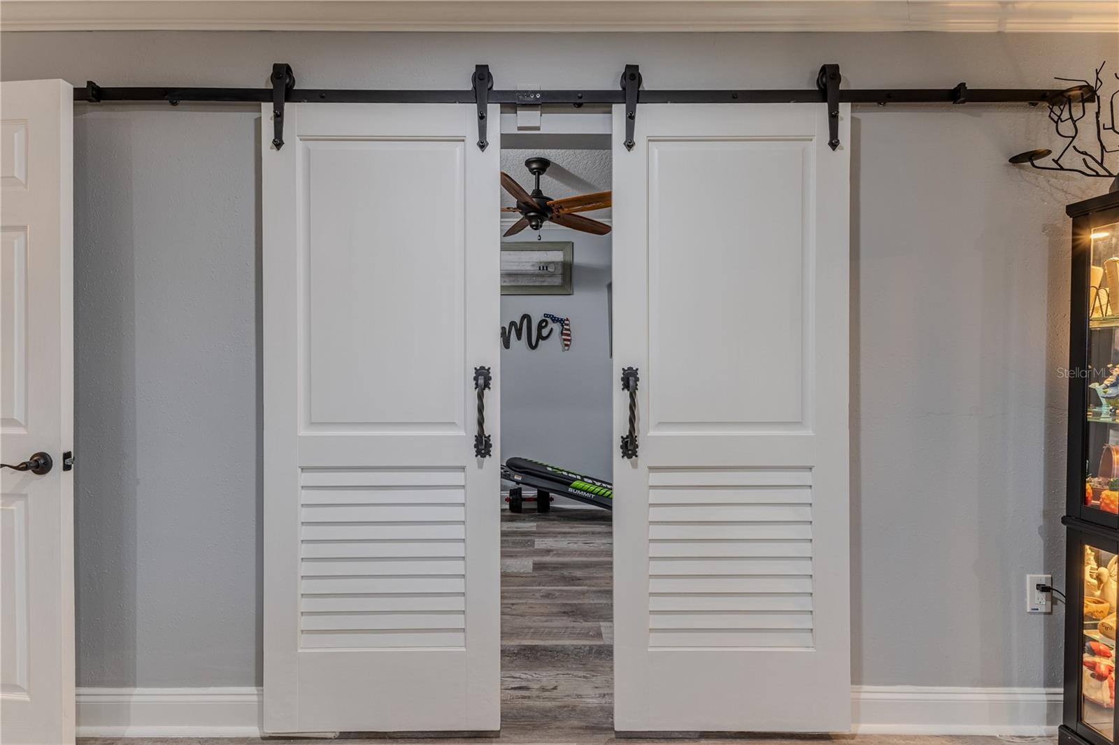 Barn Door to Exercise Room