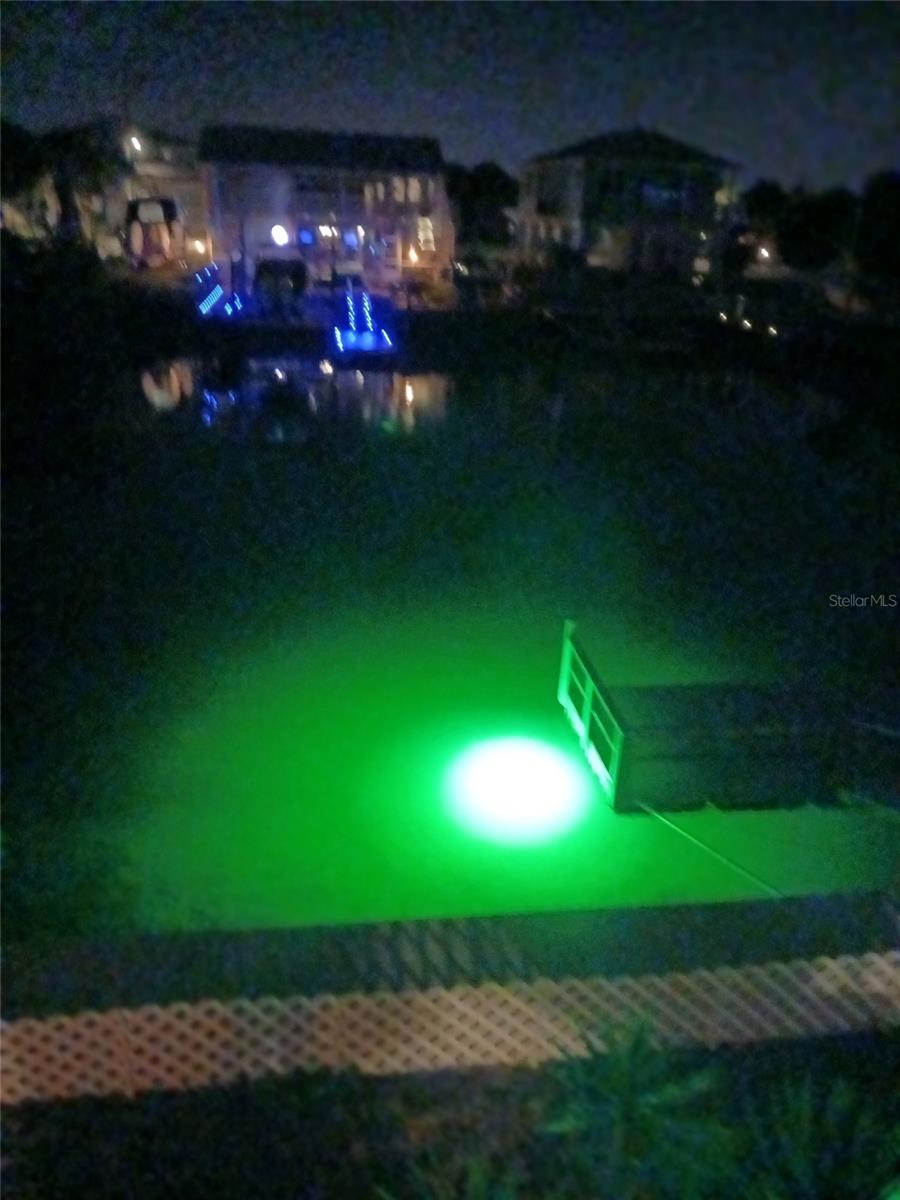 Green Fishing Light