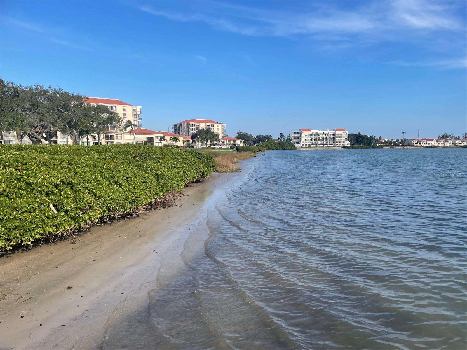 Shoreline with Mangroves
