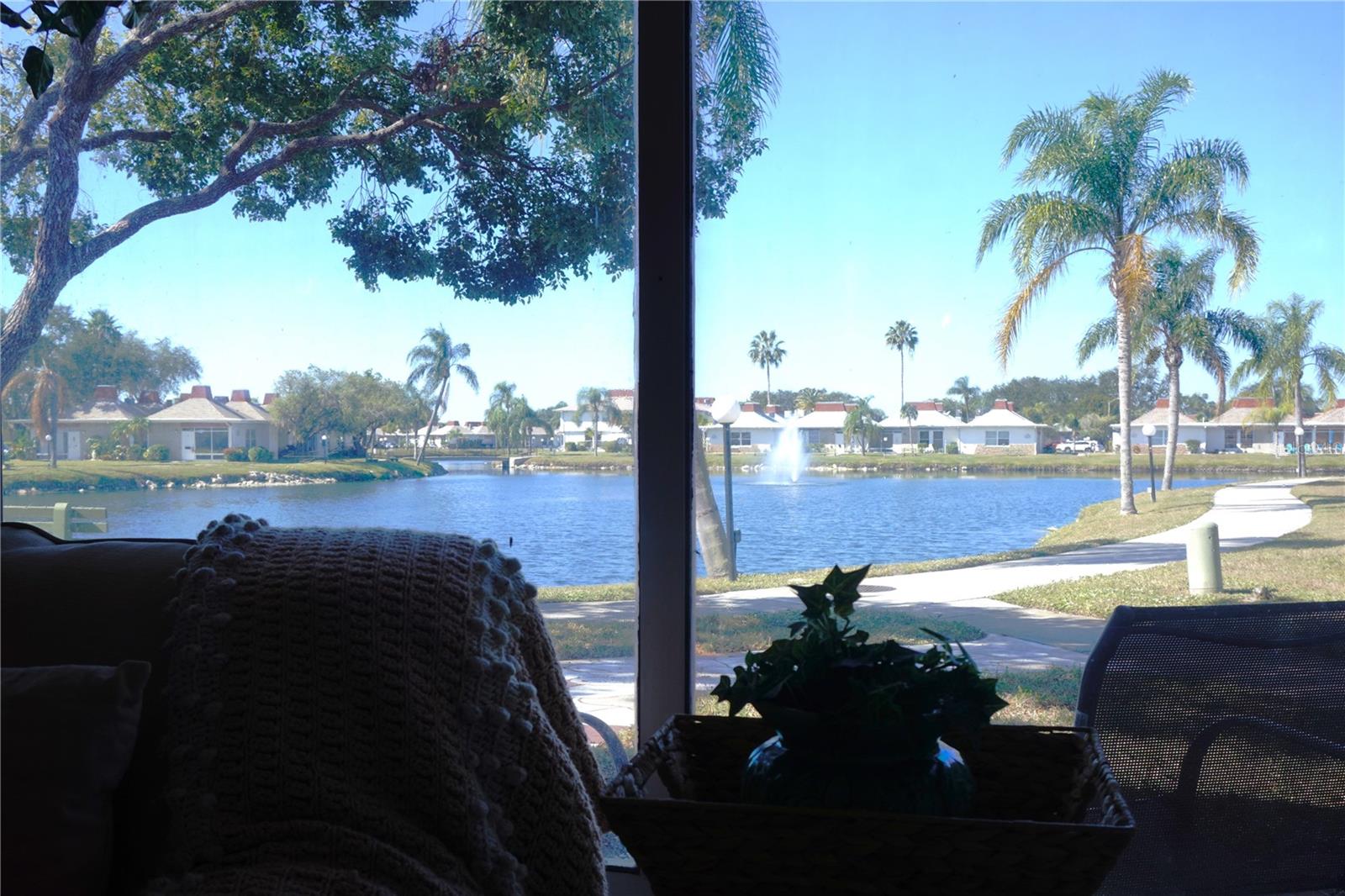 View From Living Room Window