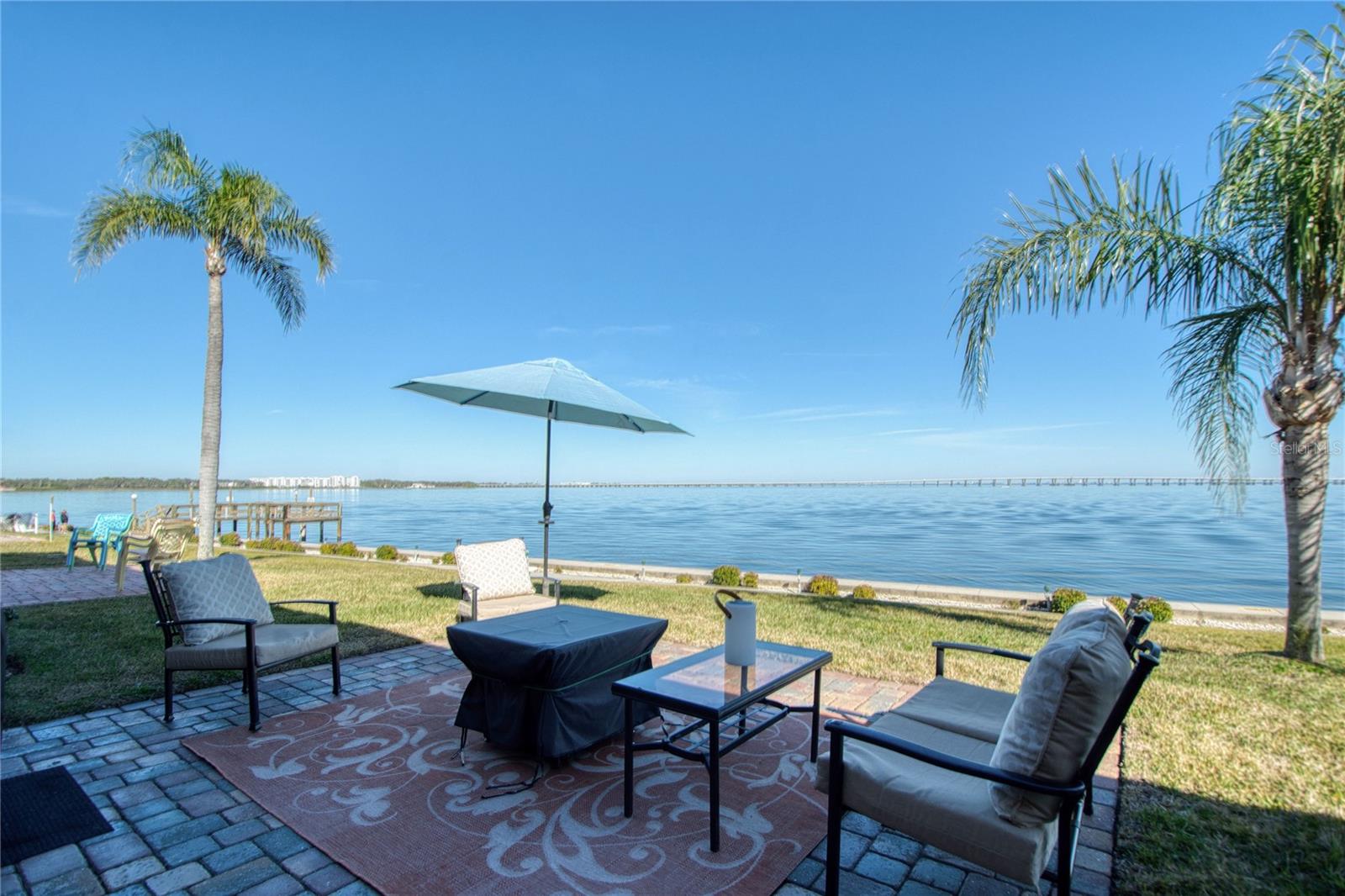 Watching dolphins and sea life never gets old!