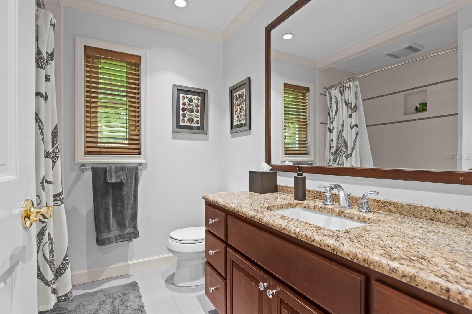 Full updated bathroom