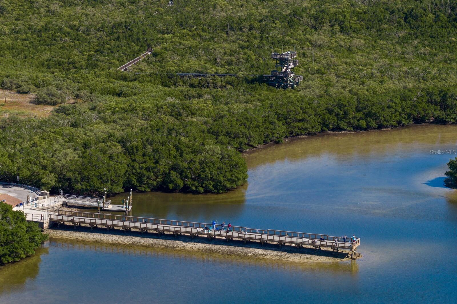 Weedon island Dock and Preserve