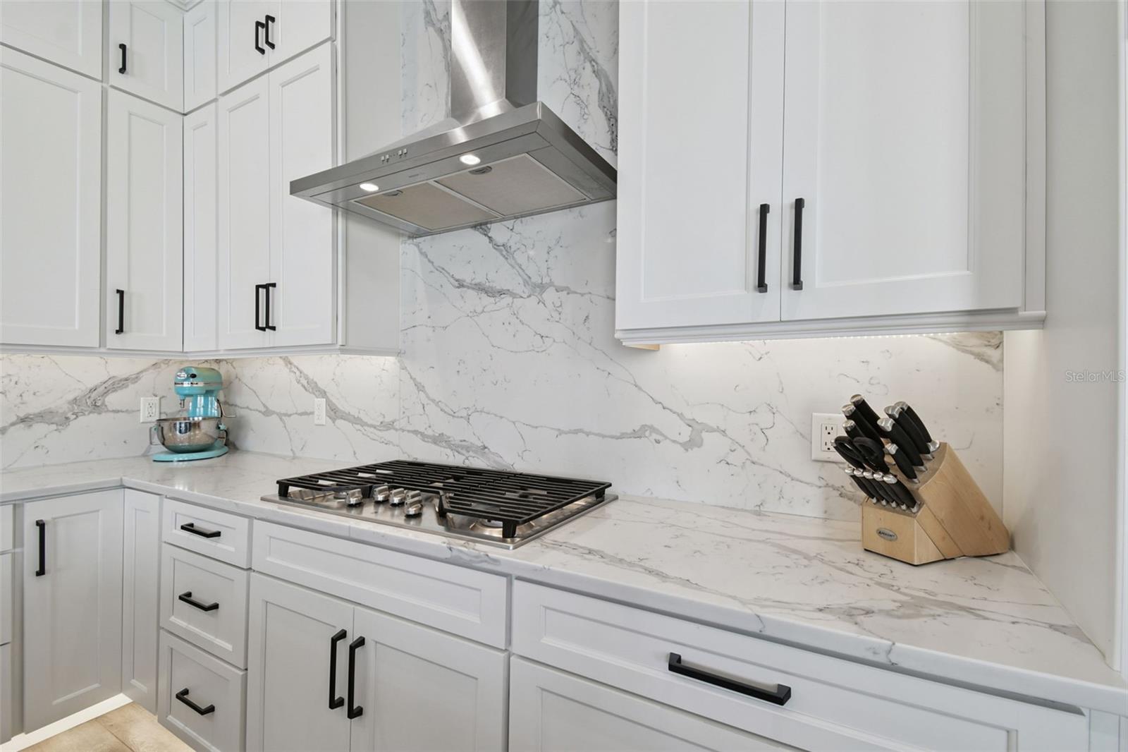 Stunning quartz countertops & backsplash, propane cooktop with vent hood
