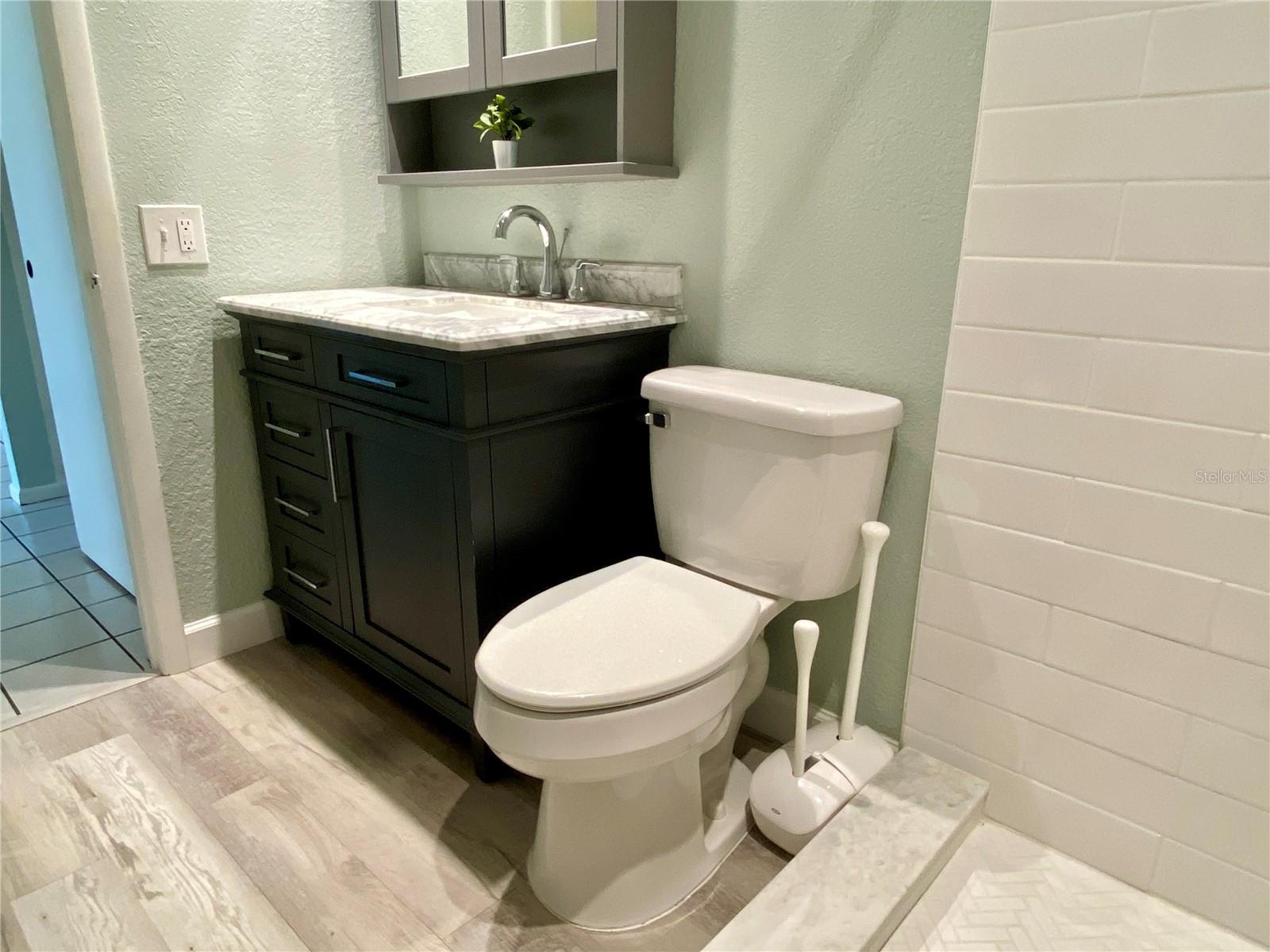 New vanity and toilet