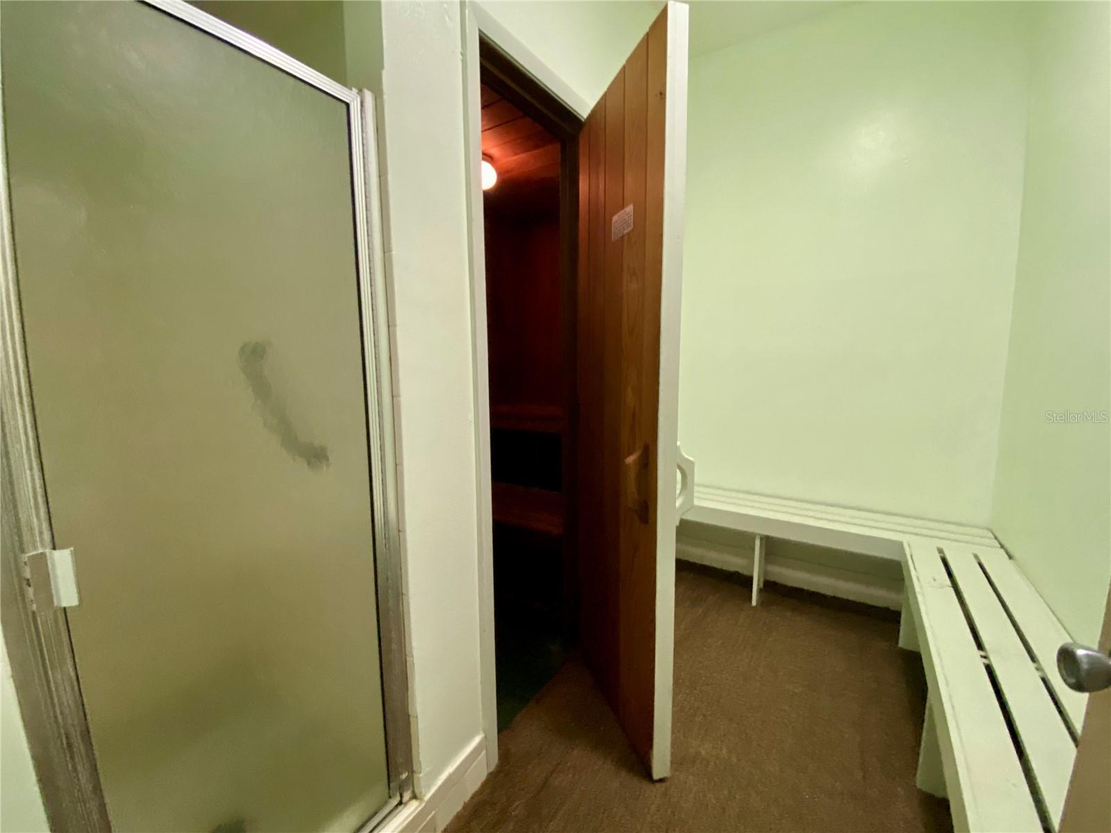 changing area, shower and sauna