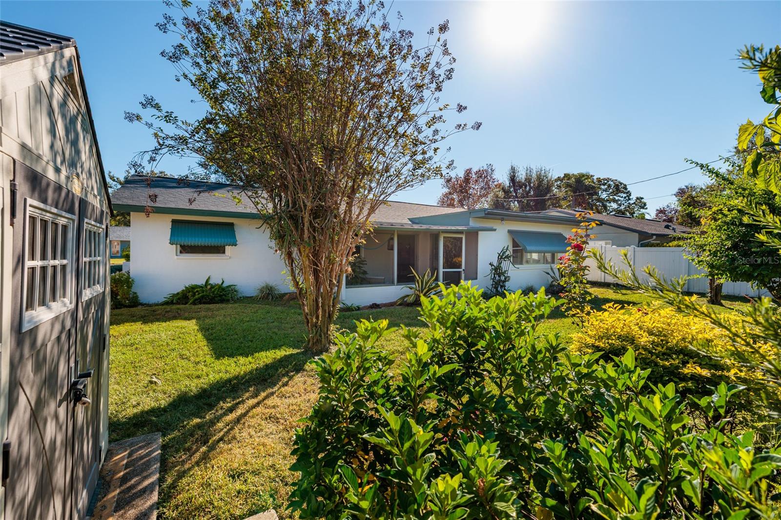 Tropical backyard with shed