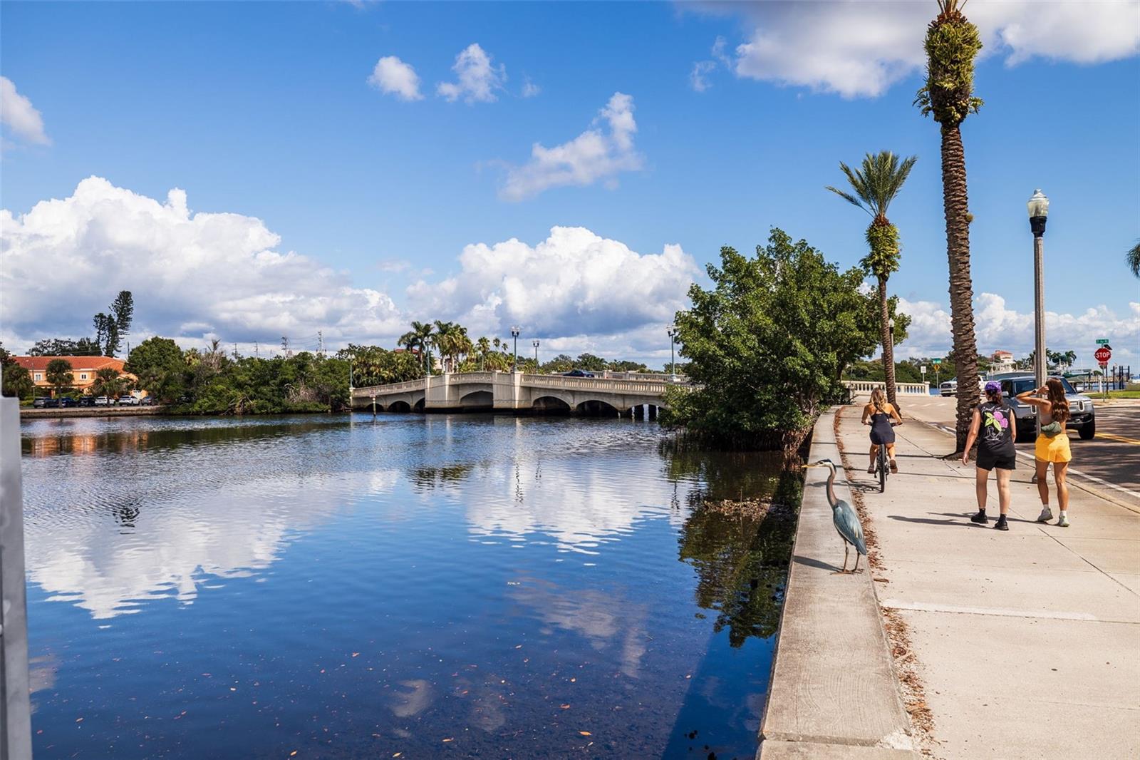 Beautiful waterfront sidewalks and parks