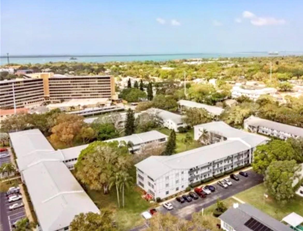 Across from Mease Hospital