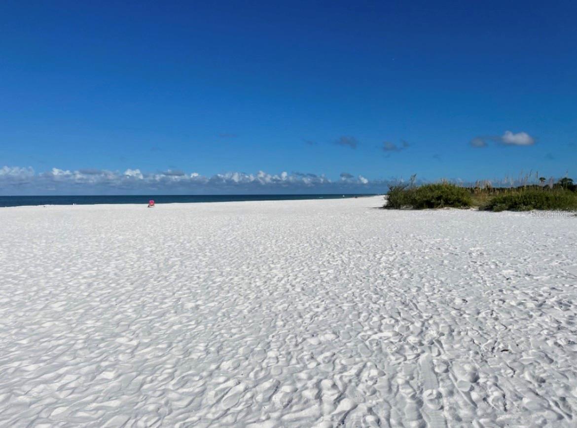Honeymoon Island Beach
