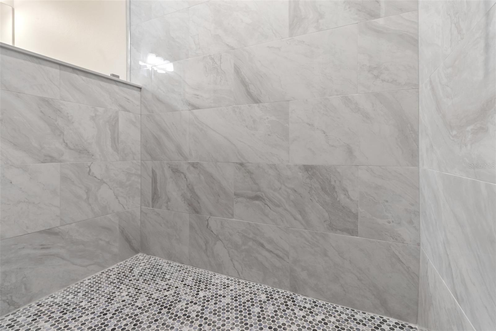 Primary bathroom shower