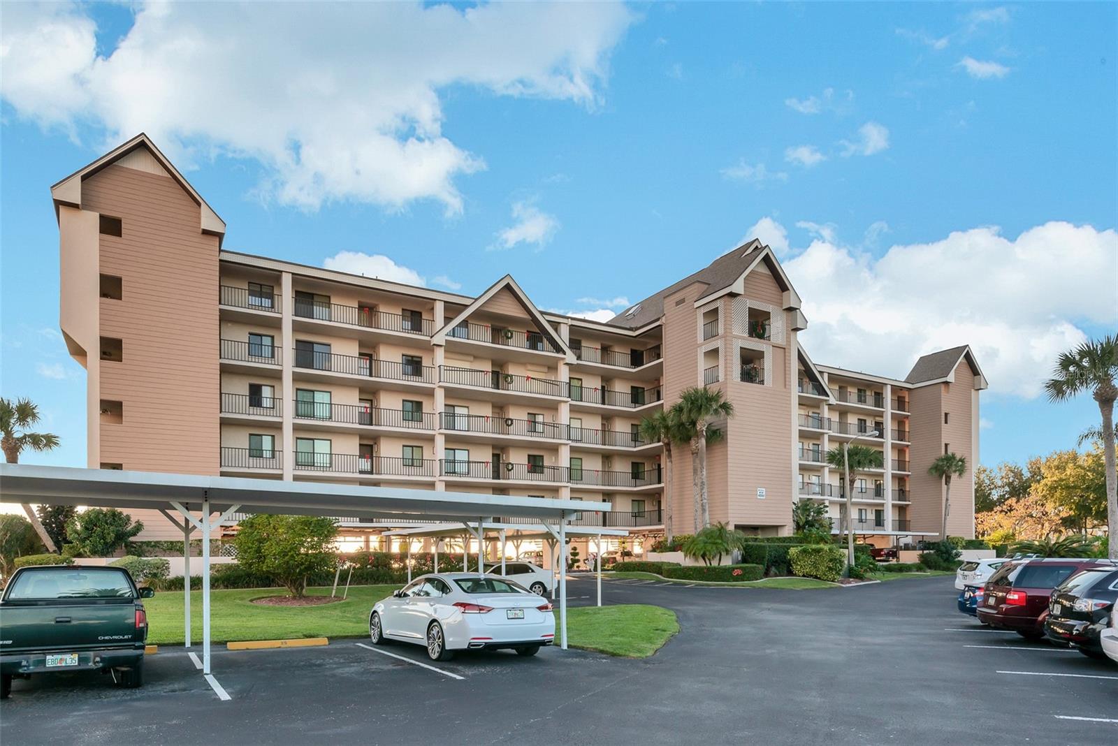 BEFORE THE NEW PAINT -NEW PIC WILL BE POSTED