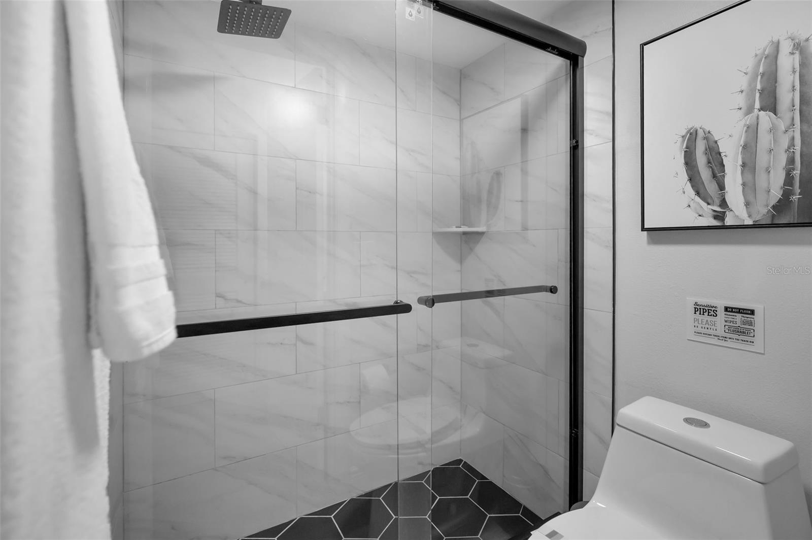 Shower2700 Gulf Blvd, Unit W6Belleair Beach, FL 33786