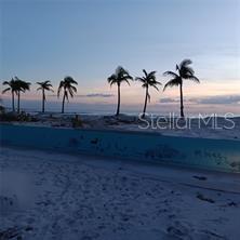 Palm Trees Along the Beach