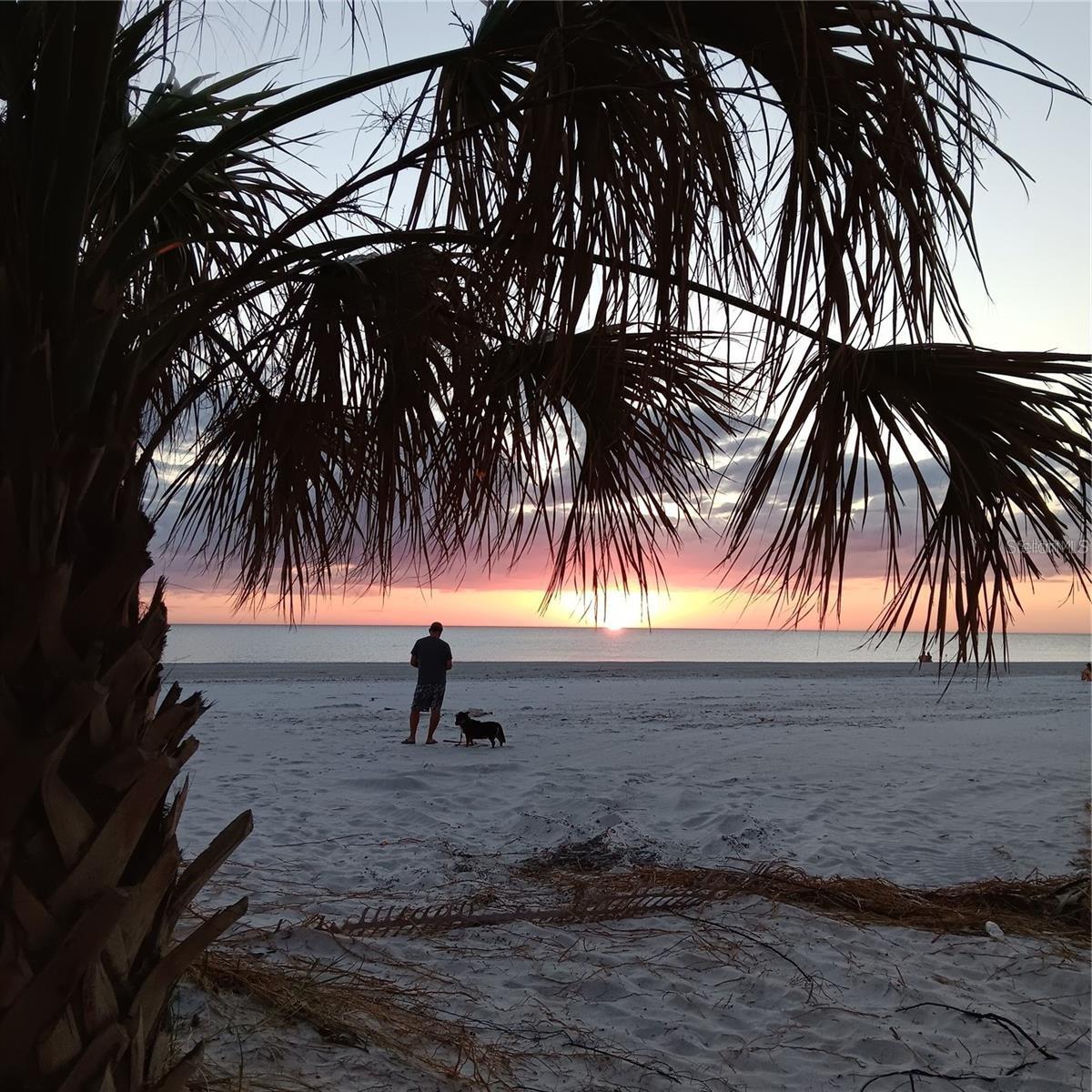 Man & His Best Friend Watching the Sunset