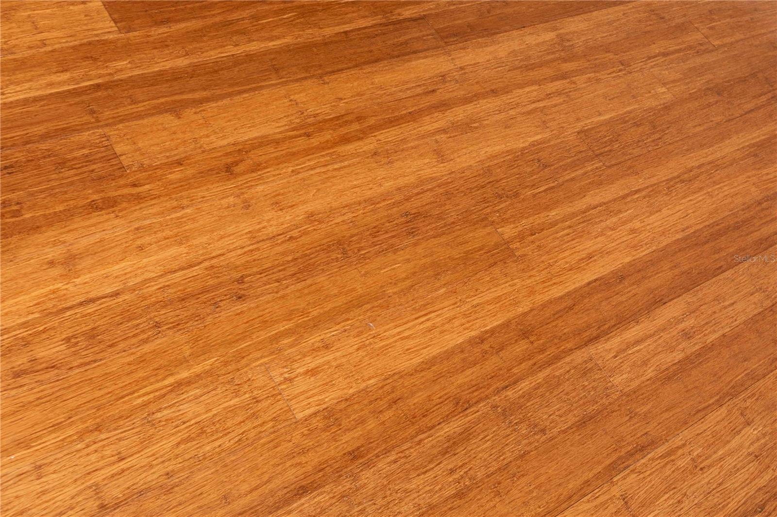 Bamboo Flooring