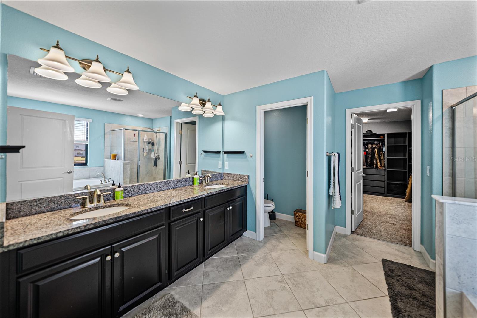 Primary bath features water closet, dual sinks, separate tub and shower