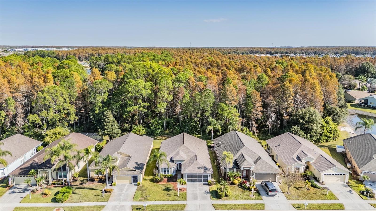 Sidewalks are a great addition to this neighborhood