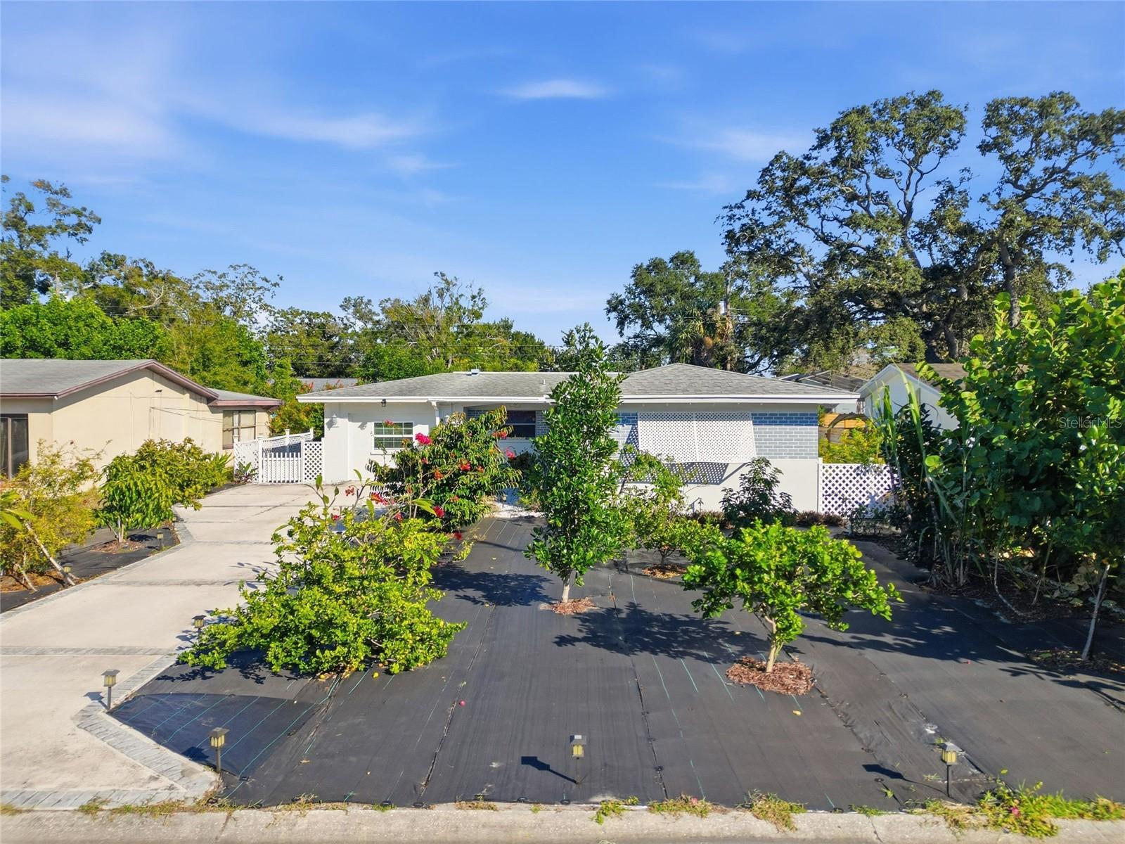 Front Yard with Fruit Trees and Flowering Plants