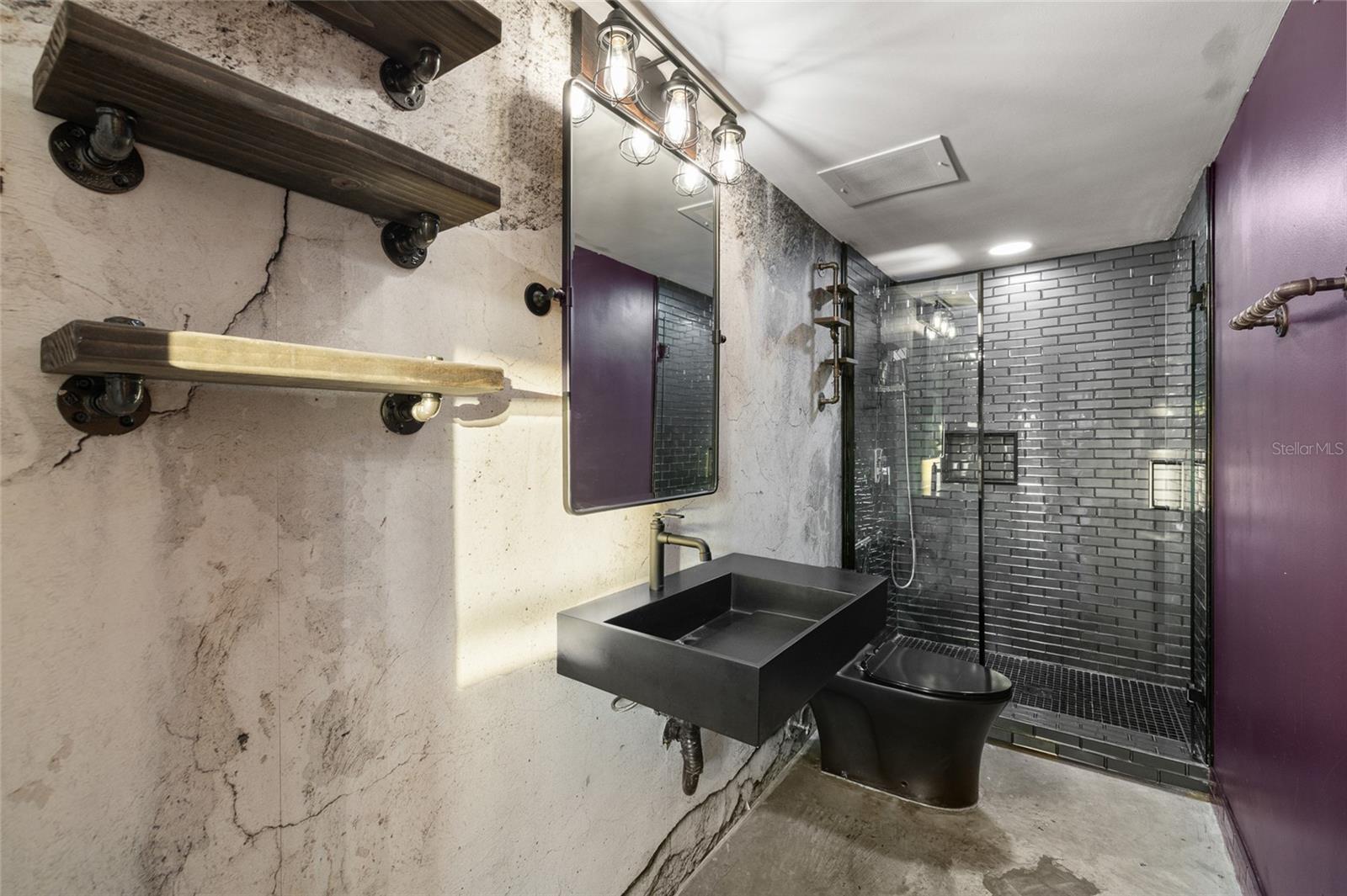 Guest Bathroom Downstairs