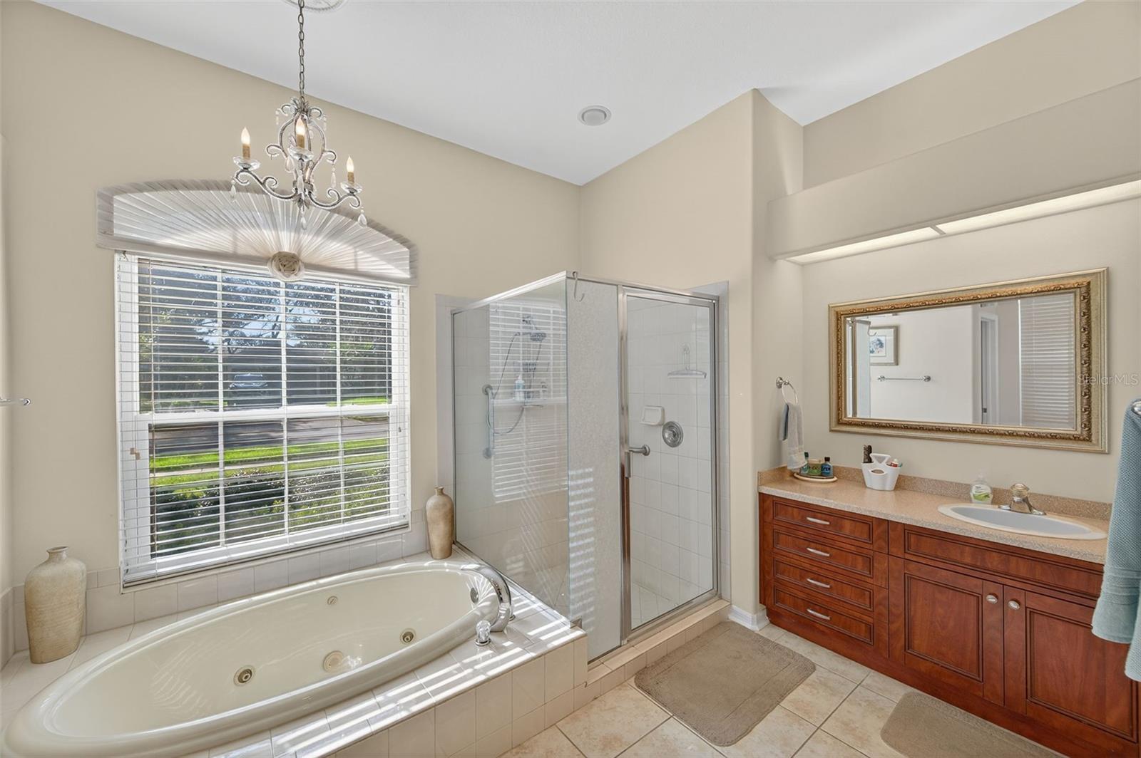 Walk in shower and jetted tub in Primary bath