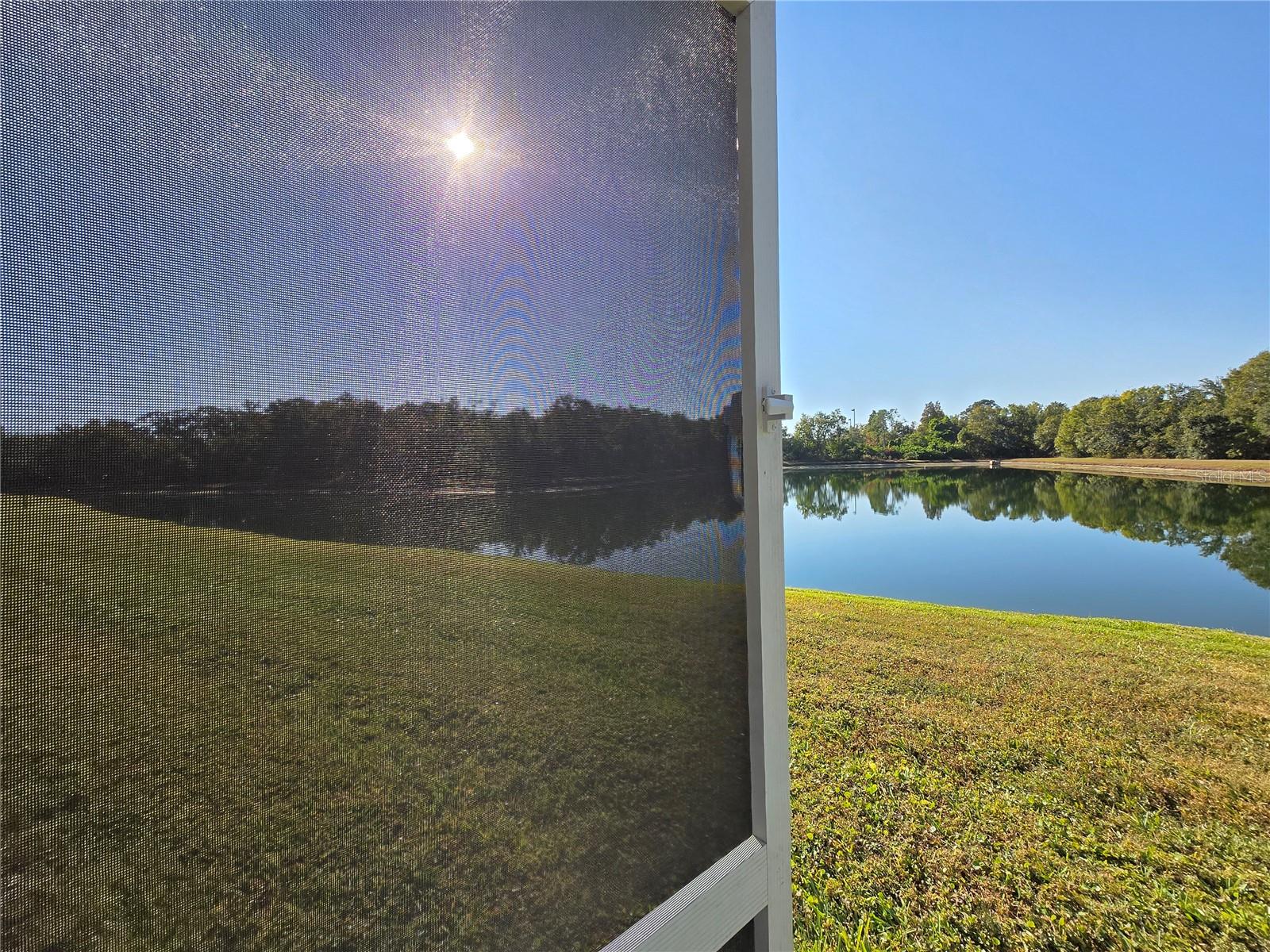 walking out lanai door.