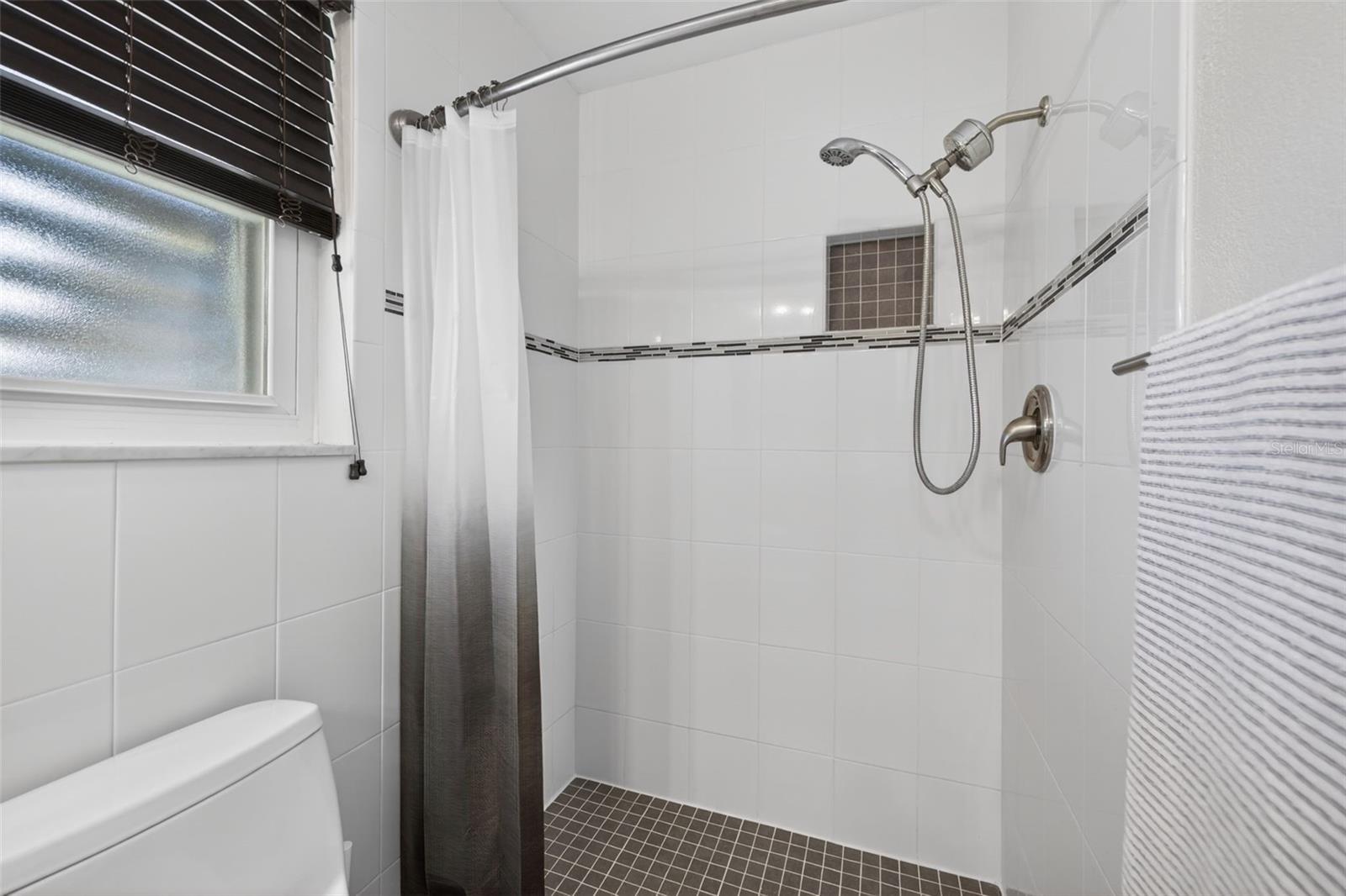 Primary bathroom shower