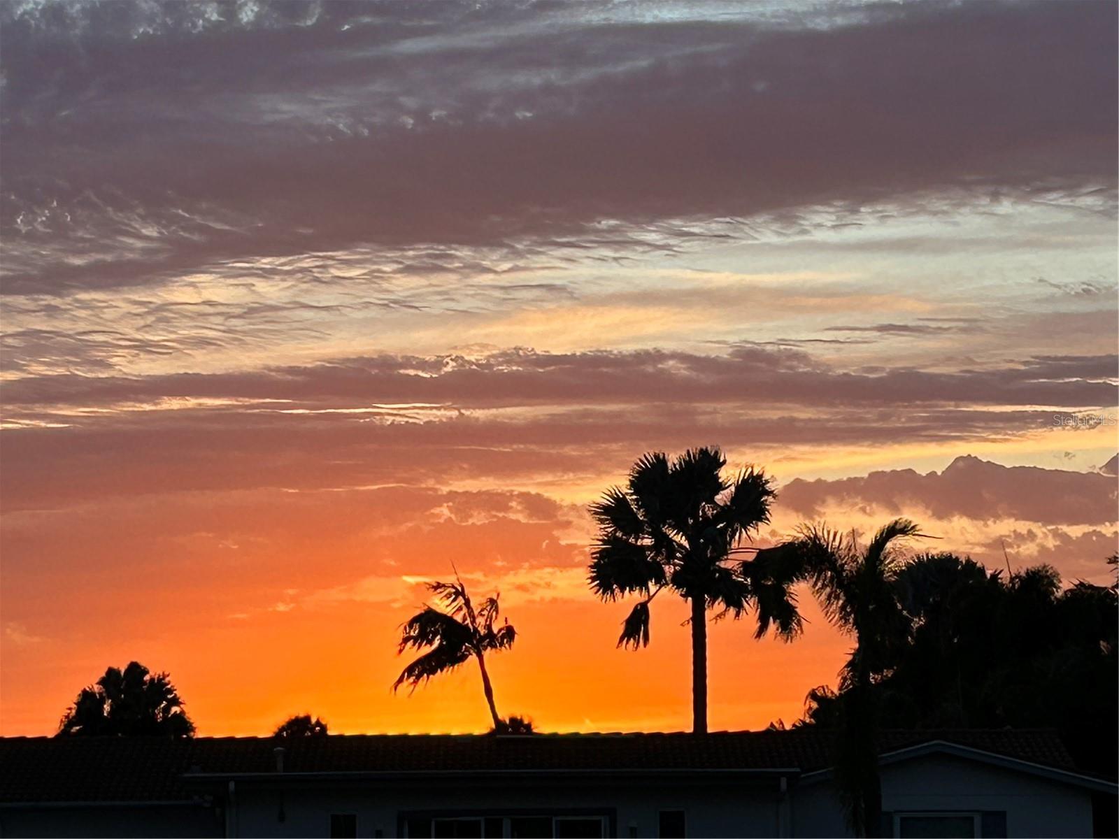 Golden sunsets