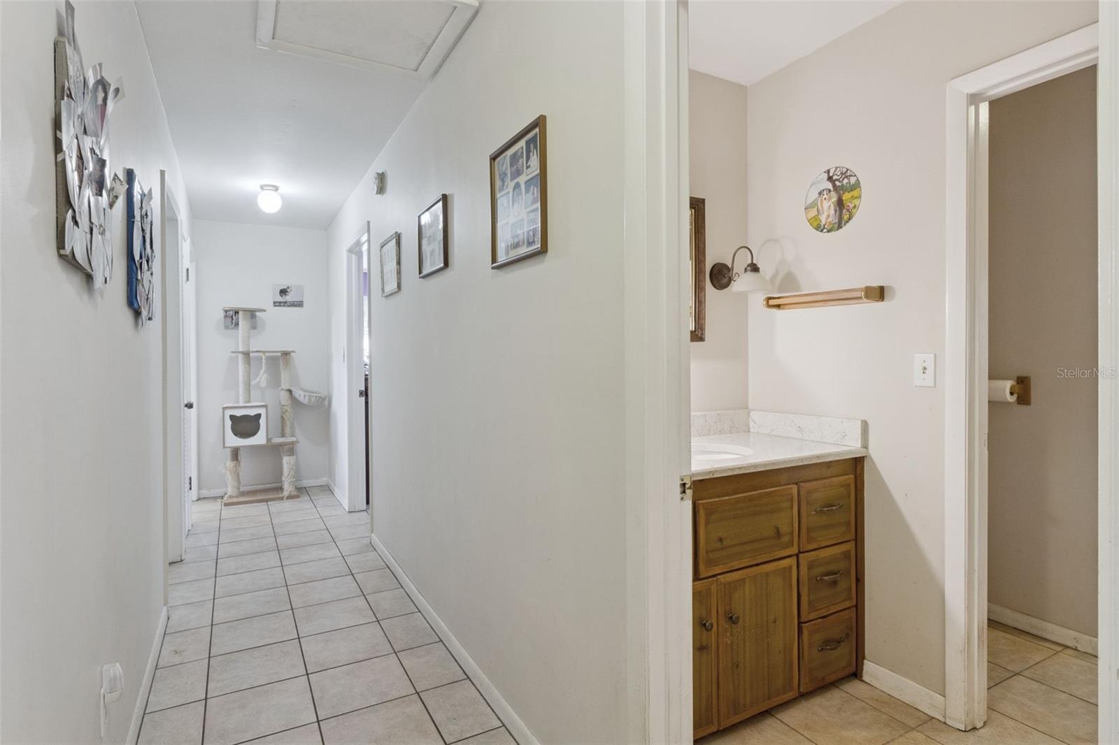 Hallway and Guest Bathroom