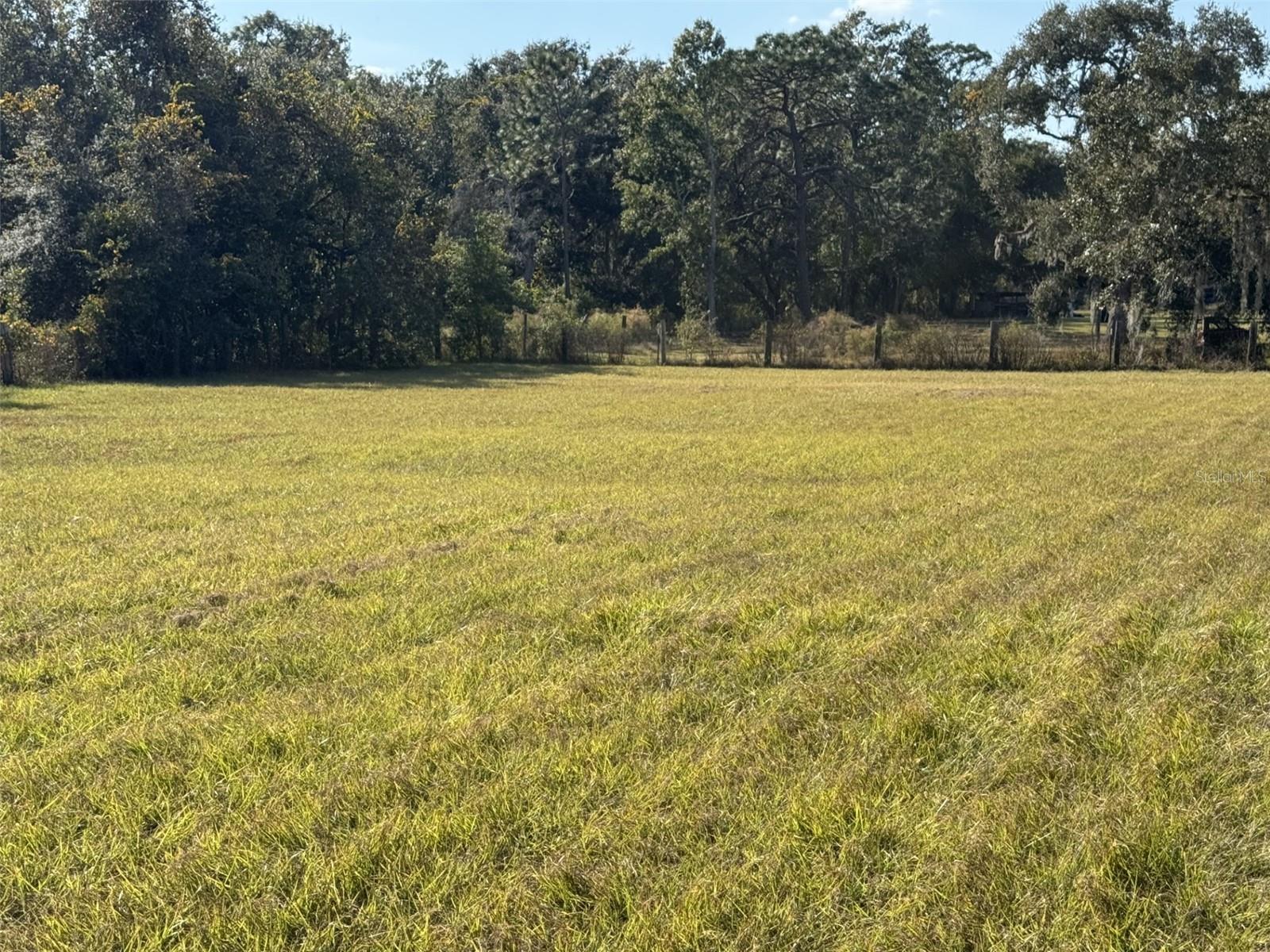 Back fence at property line