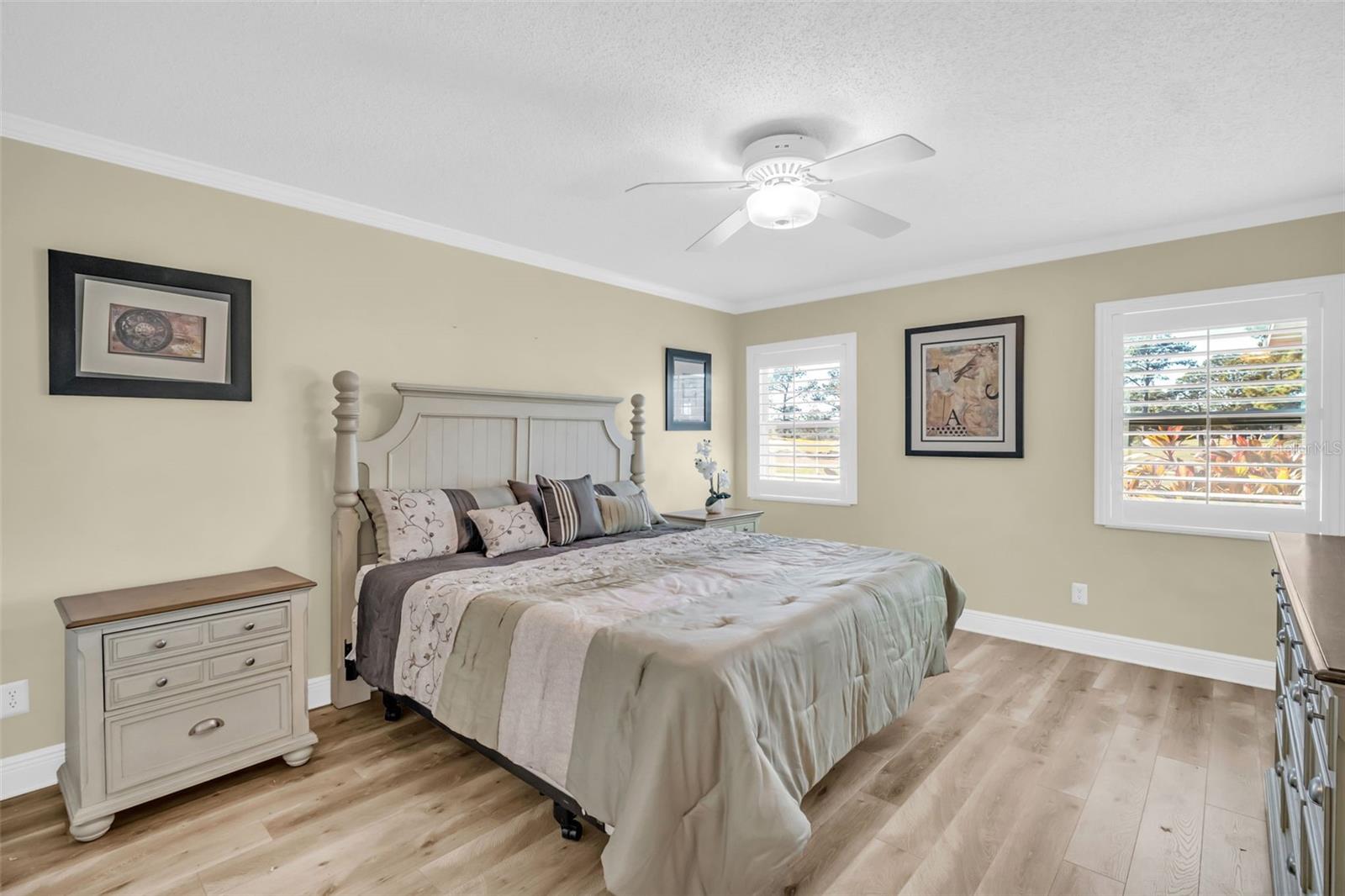 Spacious Master bedroom - approximately 13'x25'