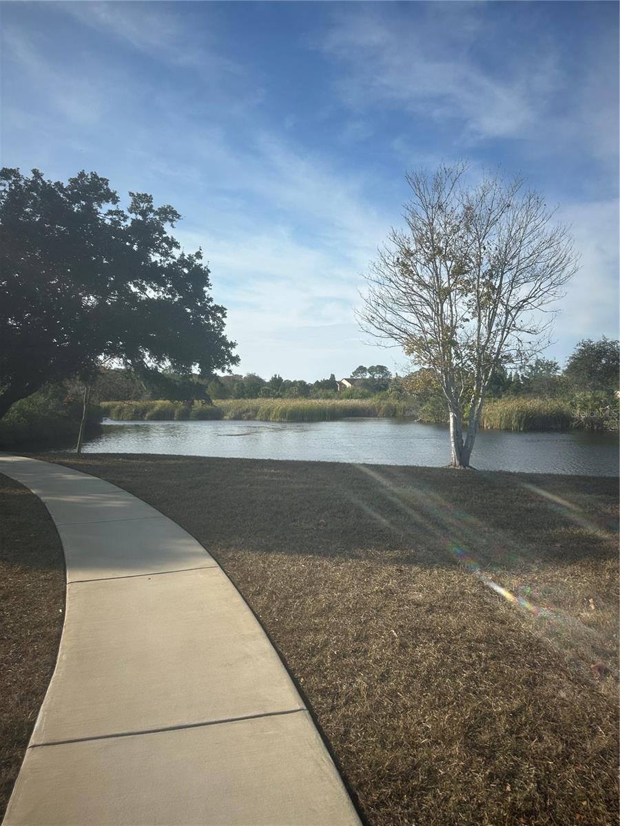 Lakeside Water for those who like to fish!