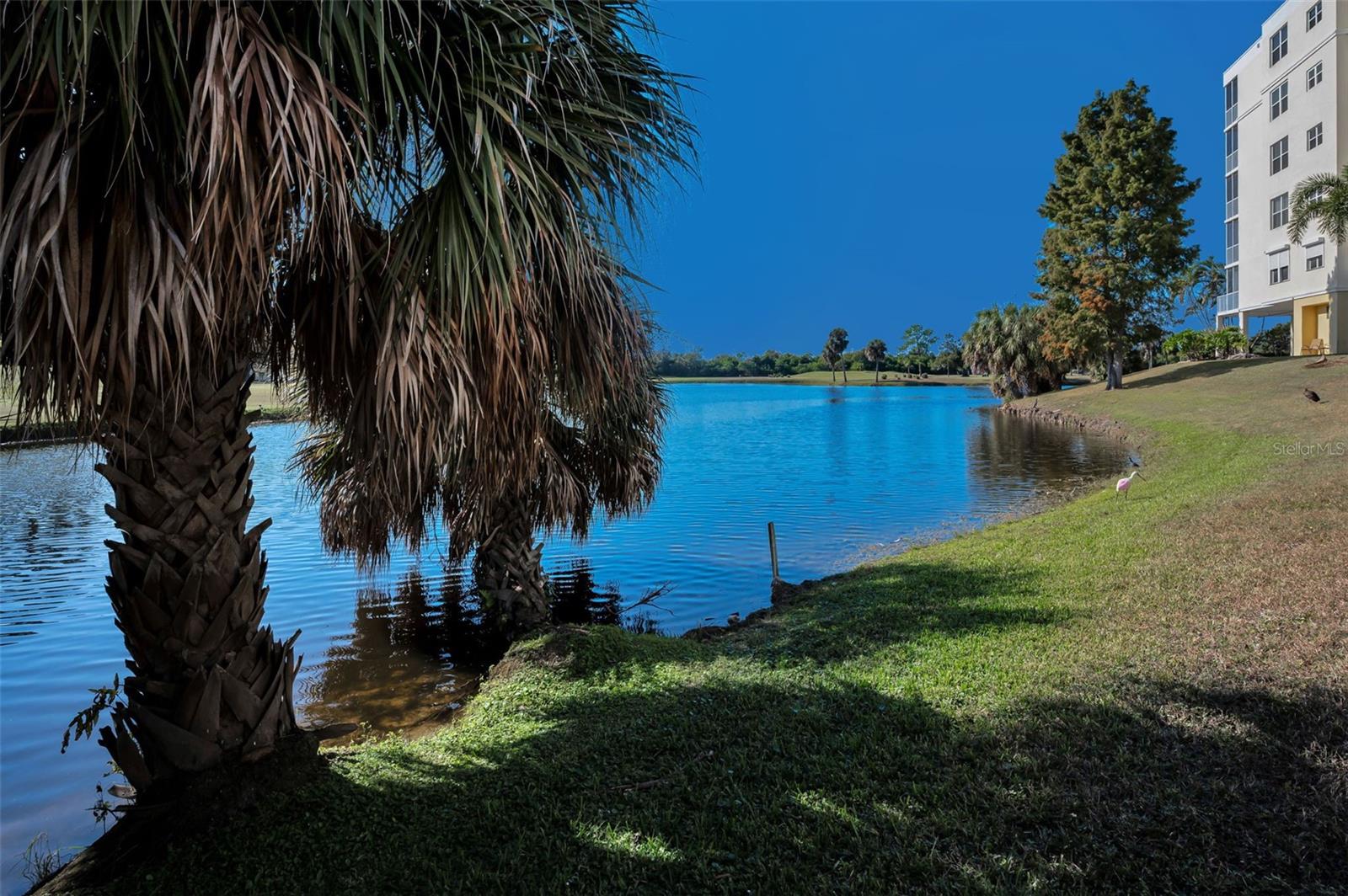 View from behind building