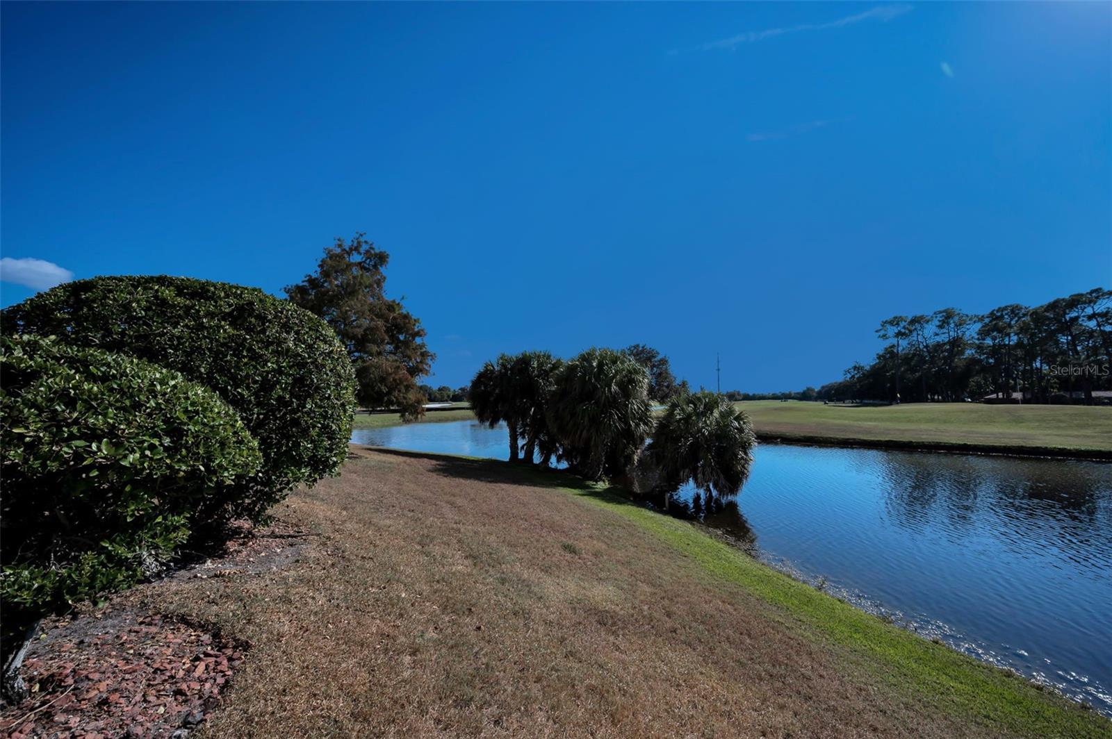 Back of building view