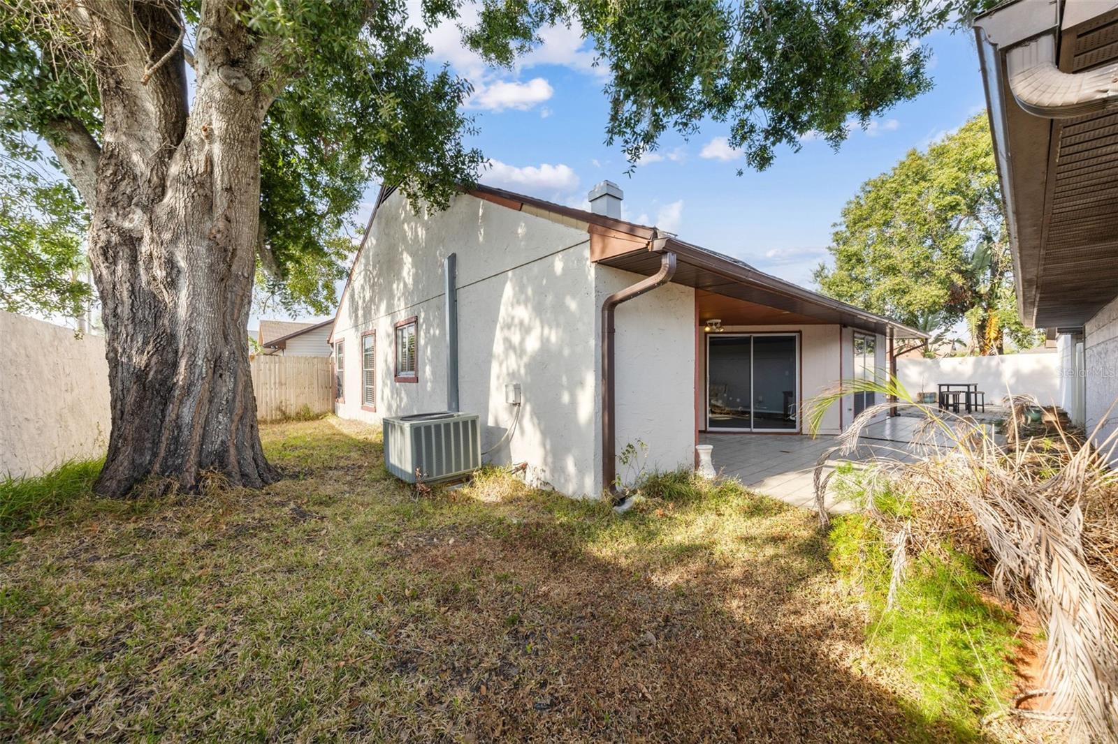 Backyard / Outdoor Space