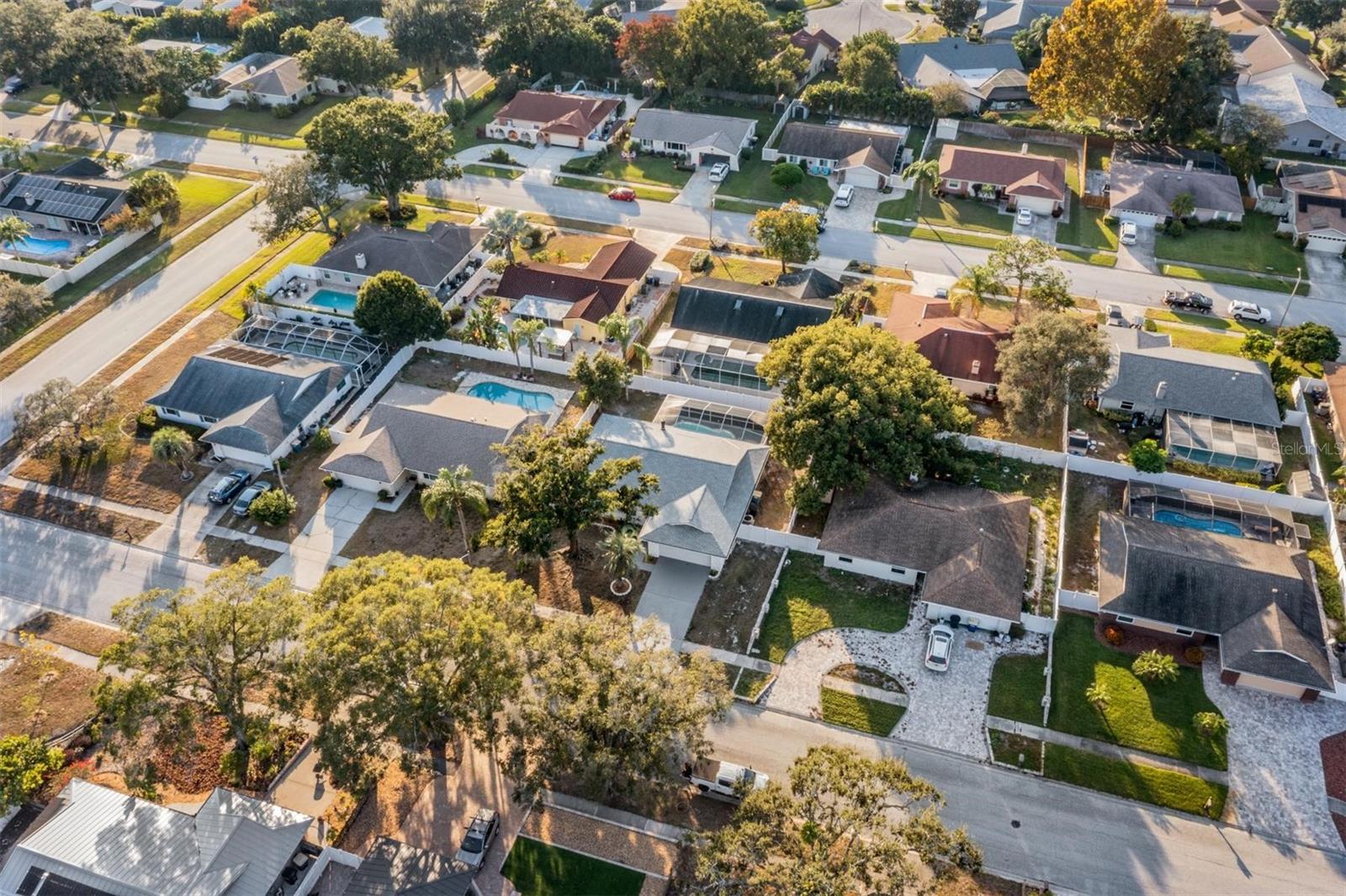 Aerial view of the neighborhood